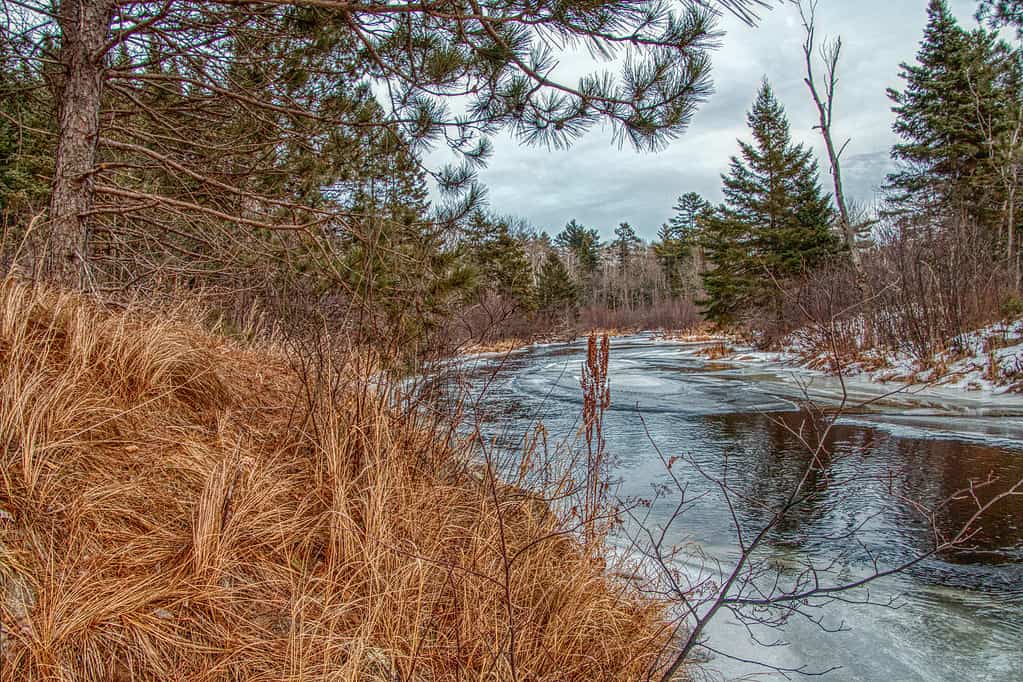 Chequamegon-Nicolet is a National Forest in Northern Wisconsin