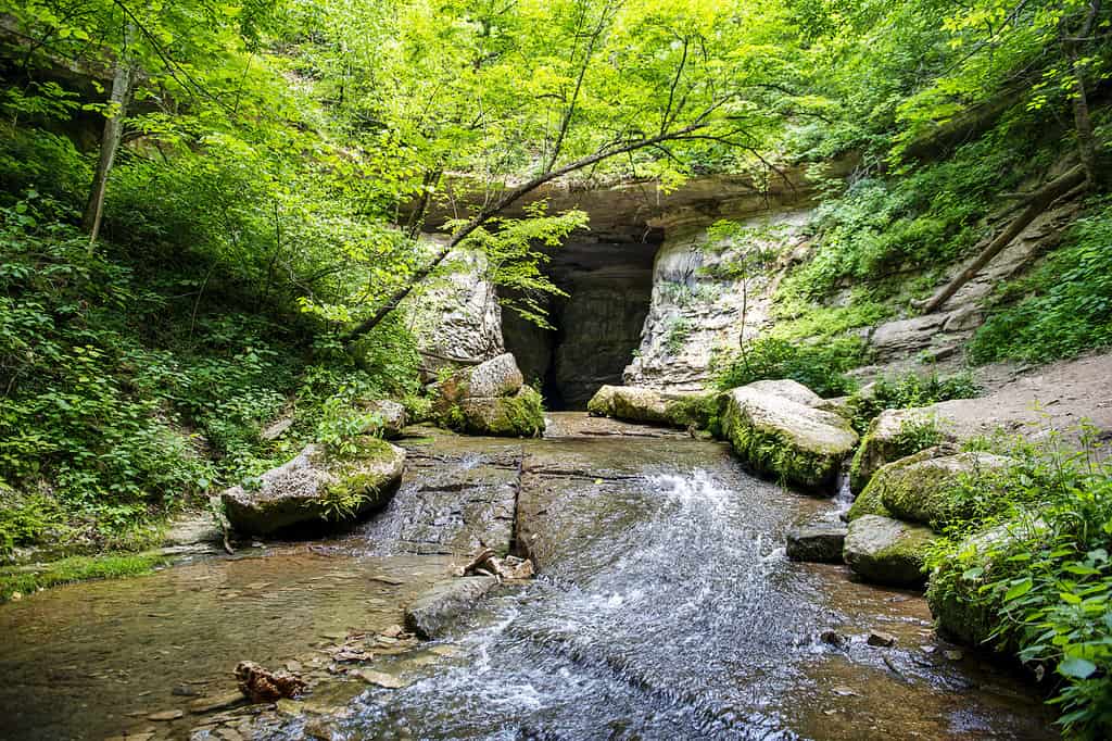 Donaldson Cave of Twin Caves in Indiana