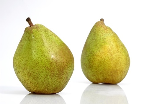 Comice Pear, pyrus communis, Fruits against White Background