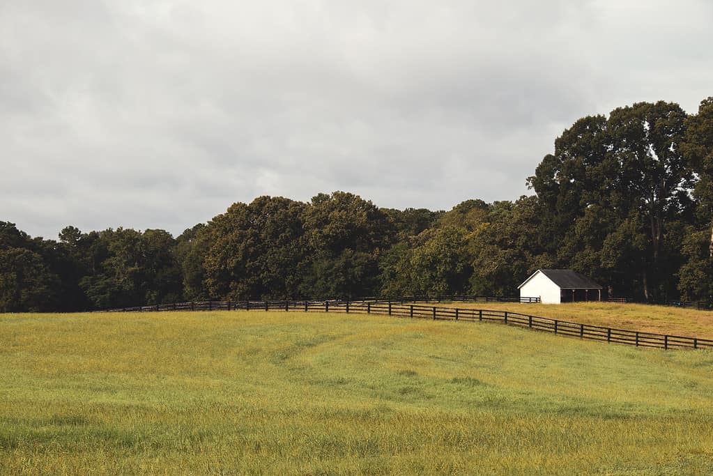 A small white barn and black wooden fence across a meadow against a treeline in autumn