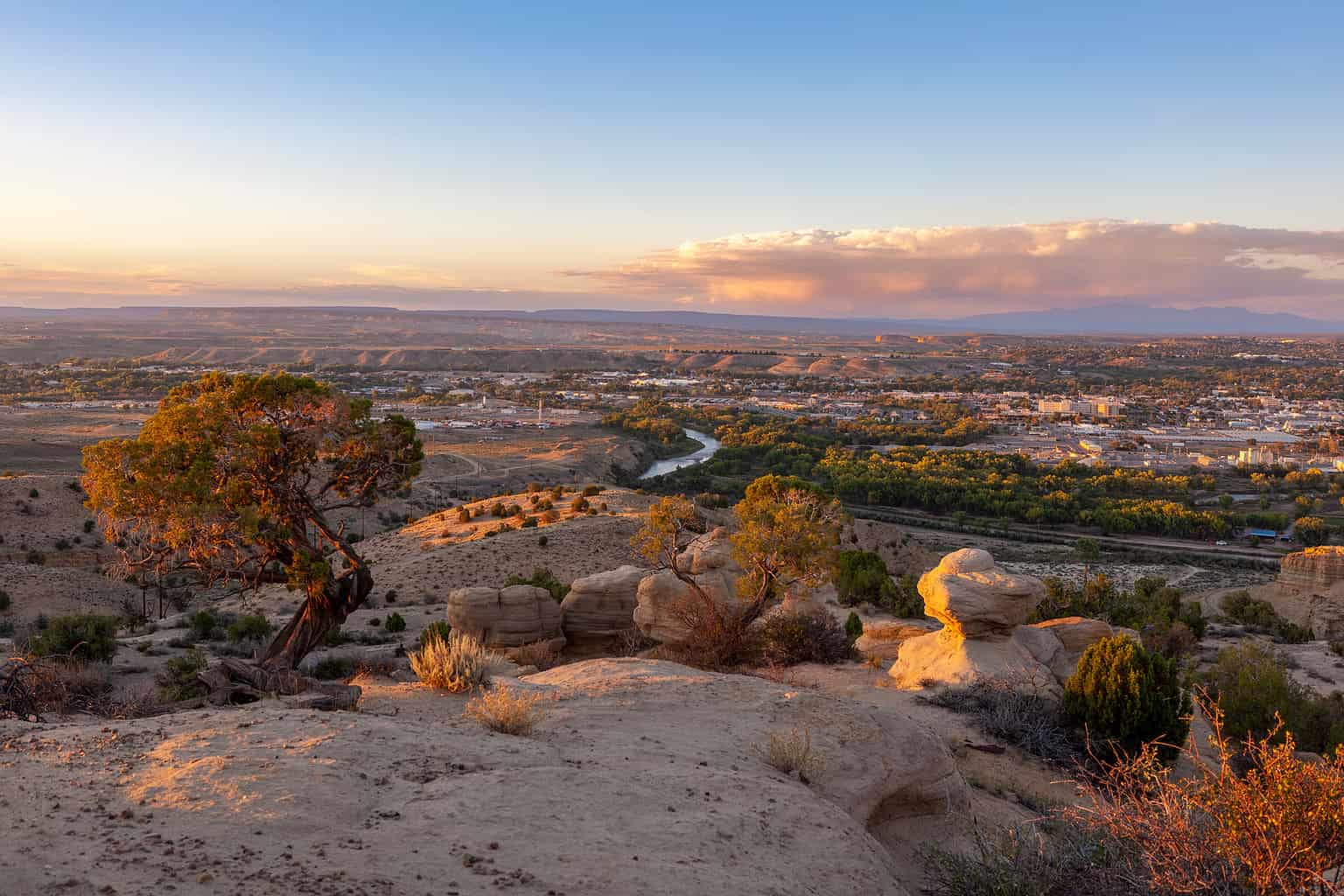 how-did-new-mexico-get-its-name-origin-and-meaning-az-animals