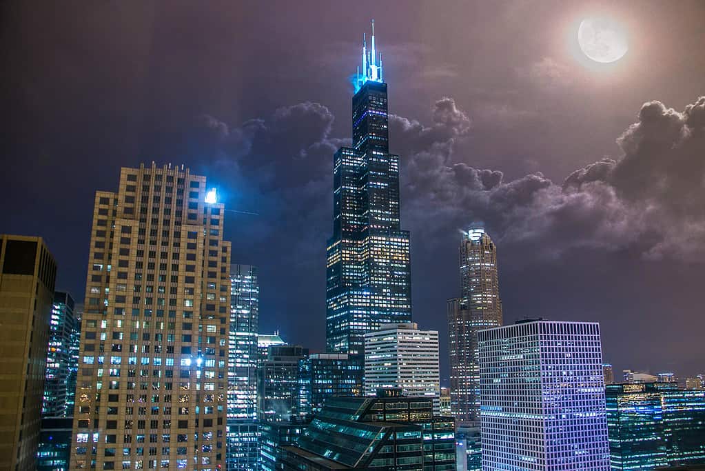 Willis Tower at Night