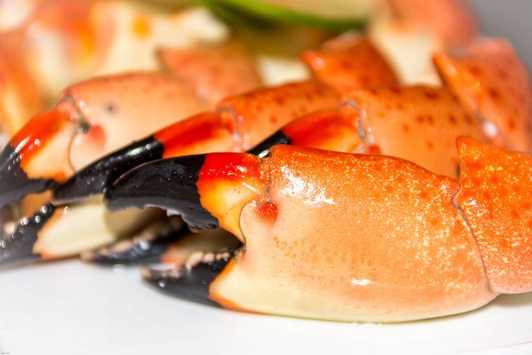 Stone Crabs Claws Dinner
