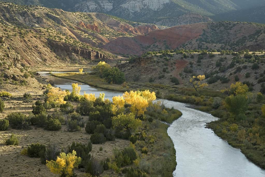 Rio Chama River during fall