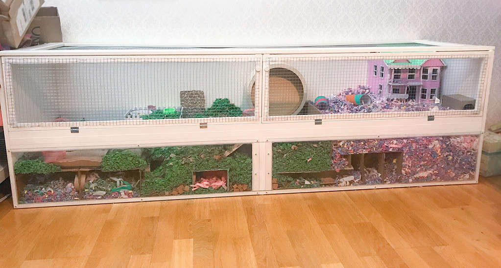 Minimum size hamster cage requirements are 40 inches by 20 inches or 775 square feet. Large is better!