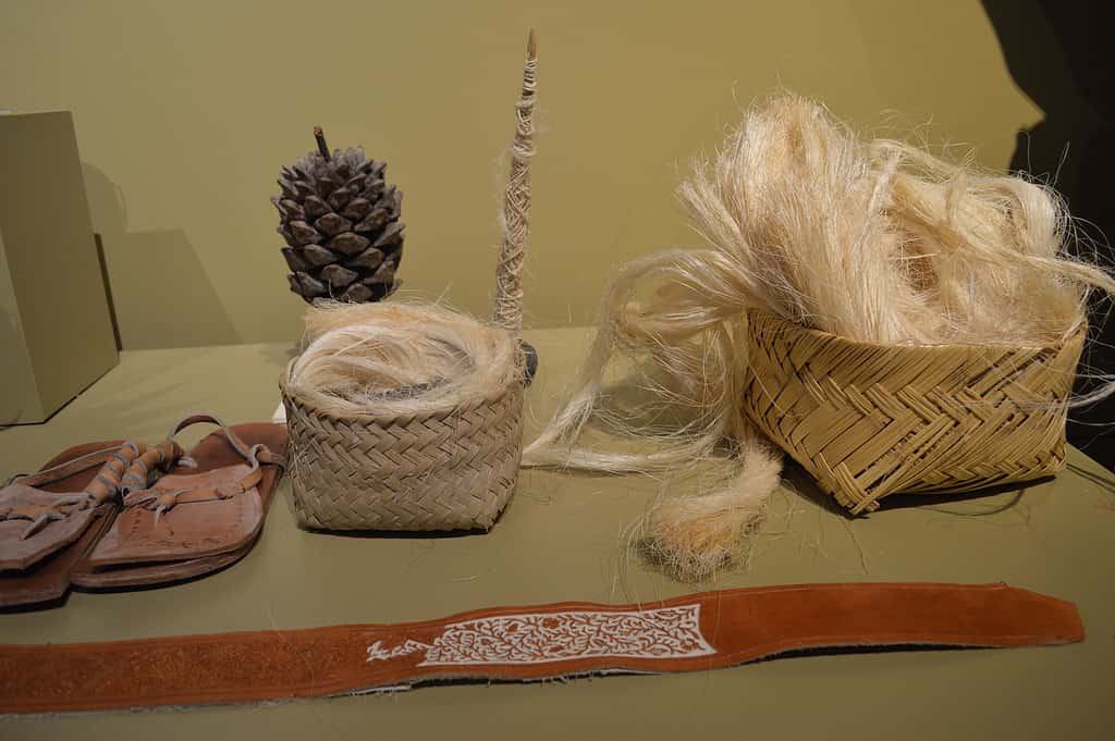 Piteado is an artisan technique where pita or ixtle (thread made from the fiber of the century plant) is embroidered onto leather in decorative patterns.