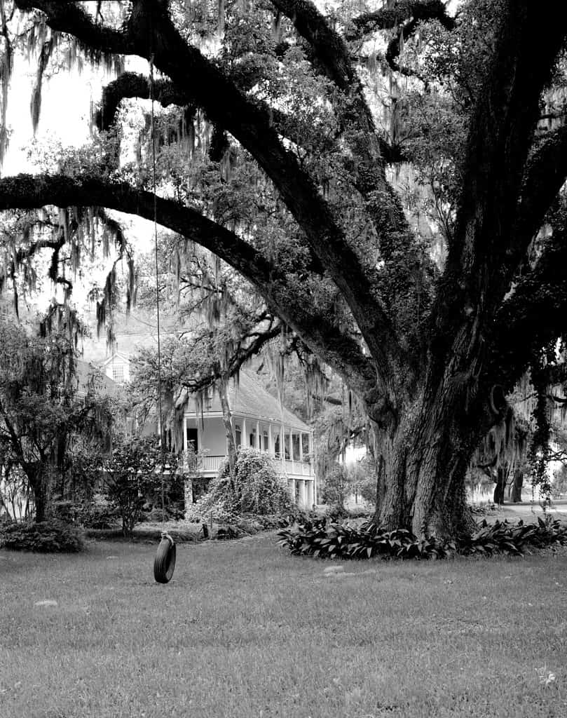 The Oldest House In Louisiana Is More Than 273 Years Old - A-z Animals