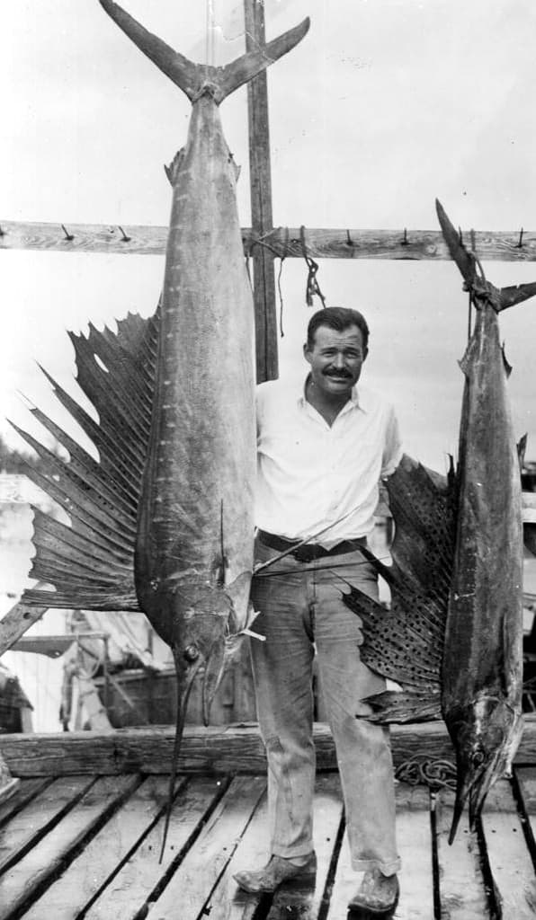 This photograph, taken in Key West in the 1940s, shows Ernest Hemingway with a sailfish he had caught.  The fish is an Atlantic sailfish (Istiophorus albicans), the only species of sailfish found in that ocean.