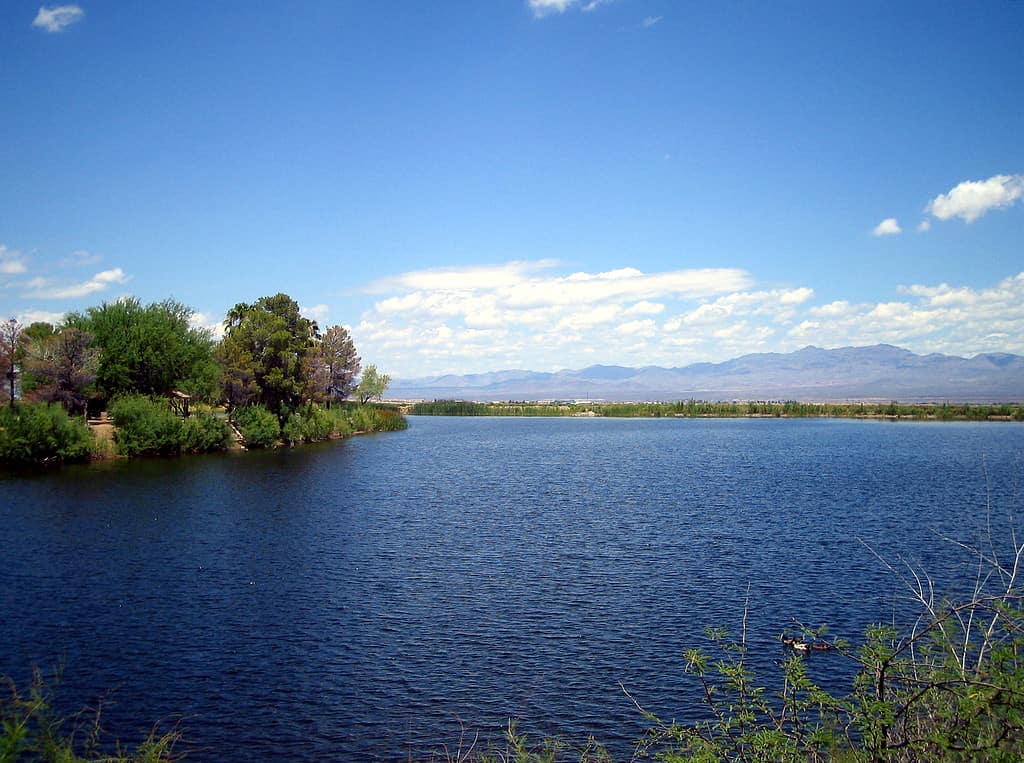 Roper Lake, near Safford, Arizona, USA