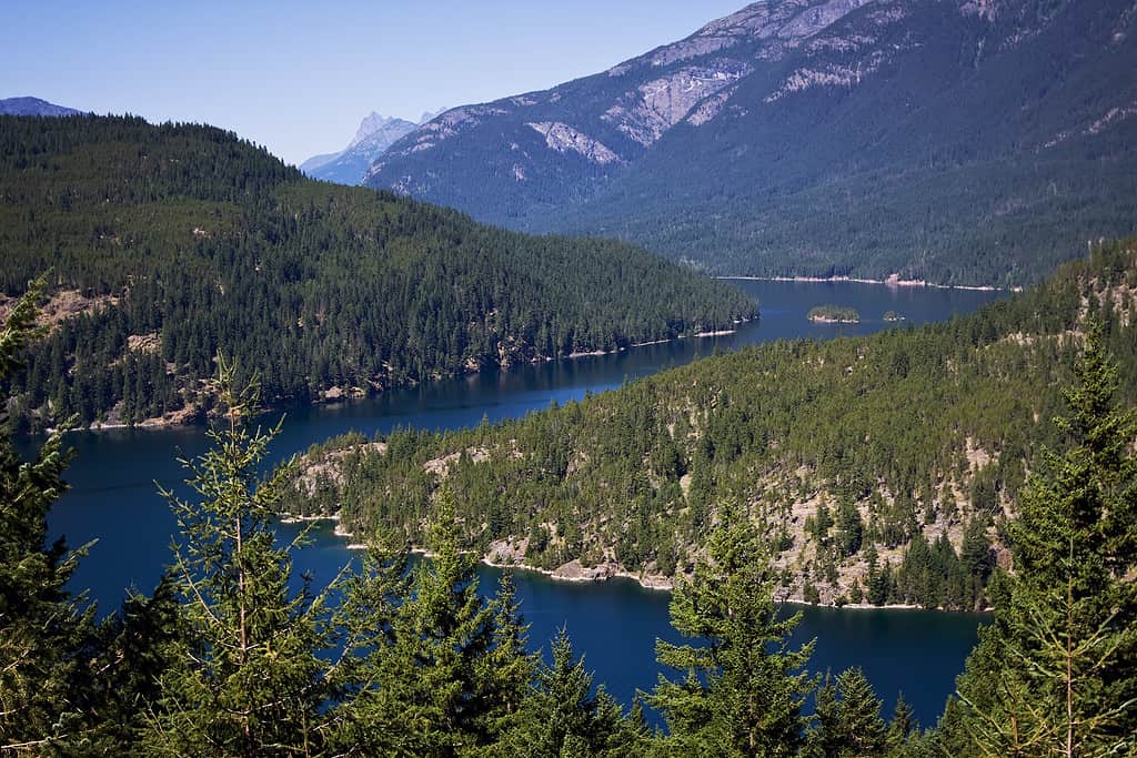 Ross Lake is a large reservoir in the North Cascade mountains of northern Washington state, USA. View from Ross Lake Overlook at Washington State Route 20.