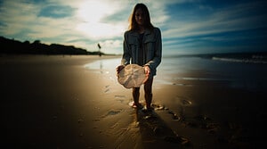 Discover the Largest Sand Dollar Ever Found Picture