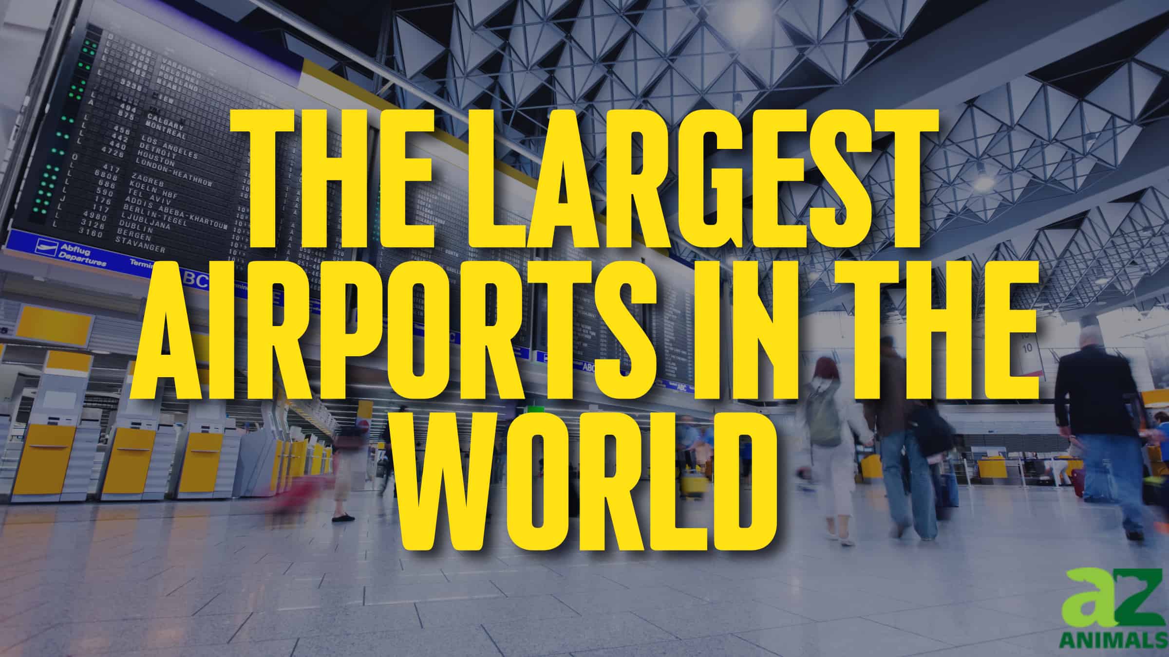 Largest Airports