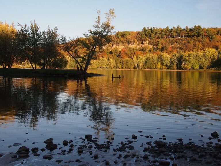Leaf river minnesota