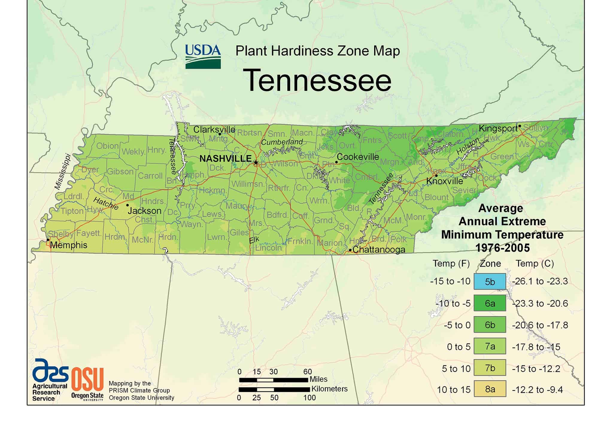 Discover Tennessee’s Planting Zones, Plus 4 Keys to Keeping Flowers