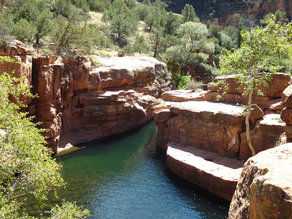 The Wet Beaver Creek in Coconino National Forest, Arizona