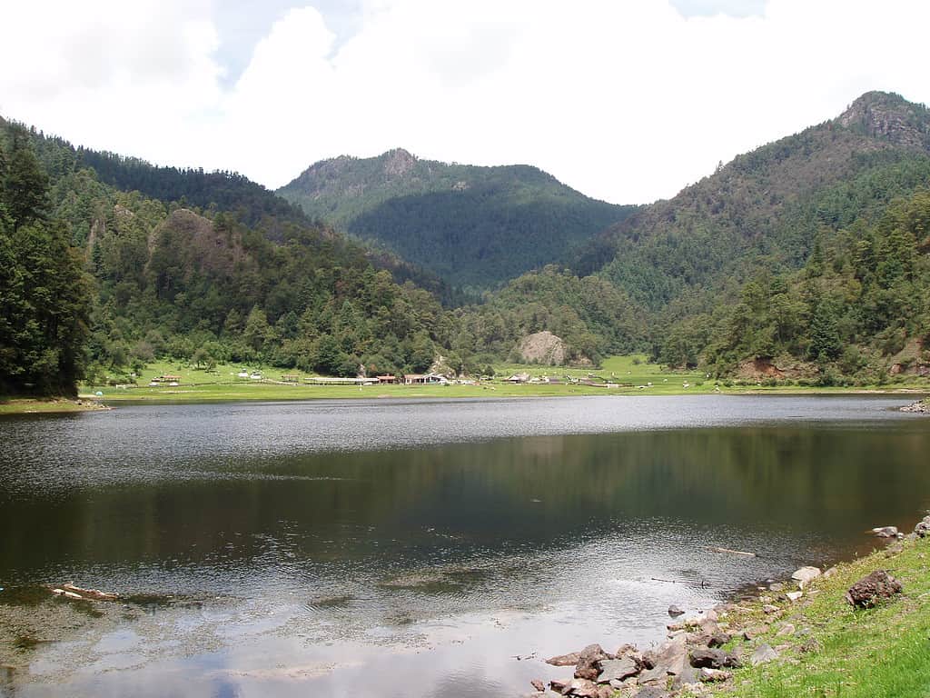 A lake at the Lagunas de Zempoala National Park