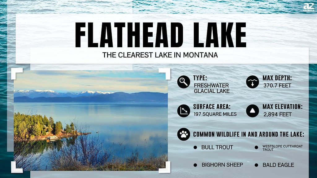 Flathead Lake is the Clearest Lake in Montana