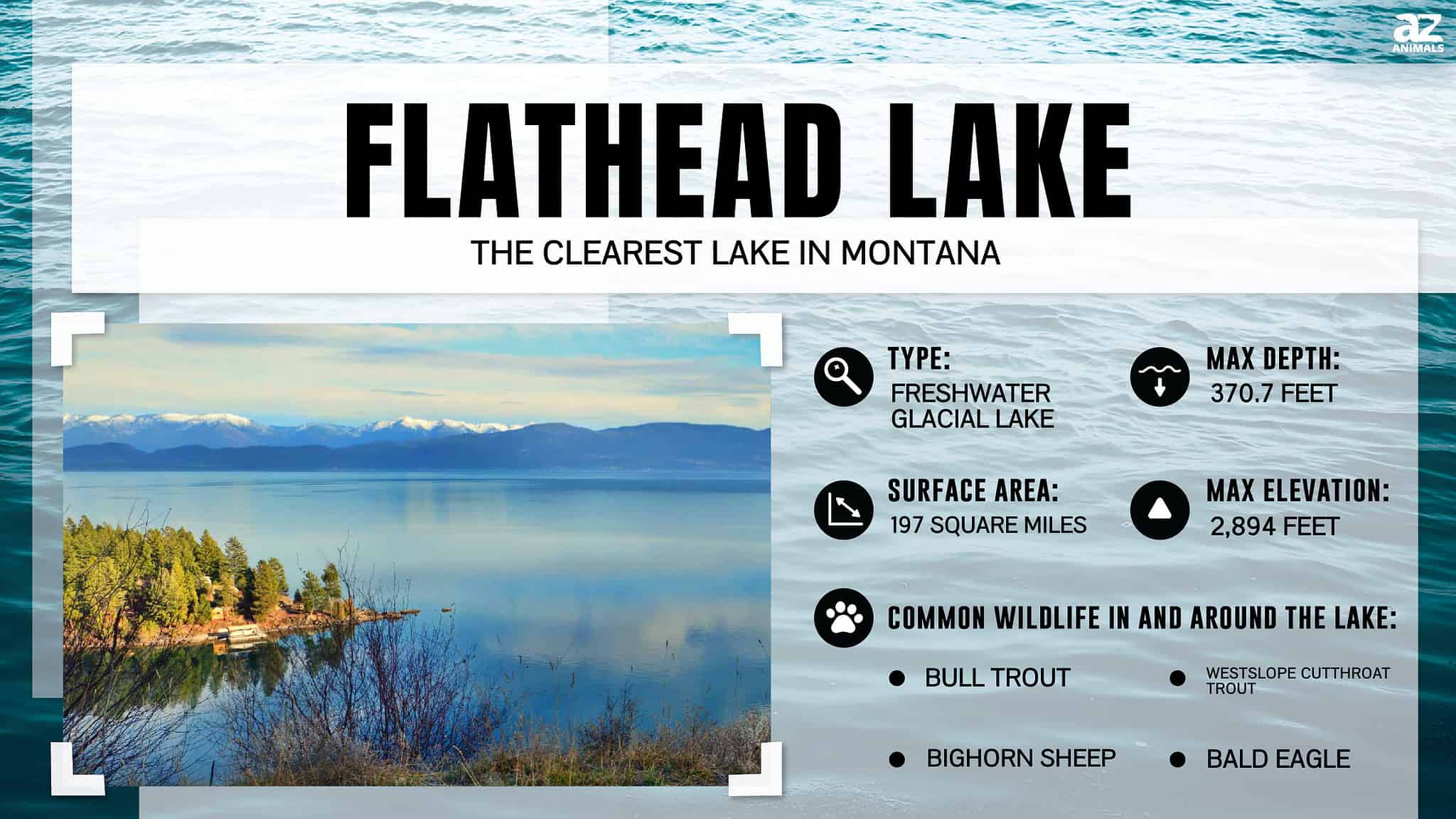 Discover the Clearest Lake in Montana - A-Z Animals