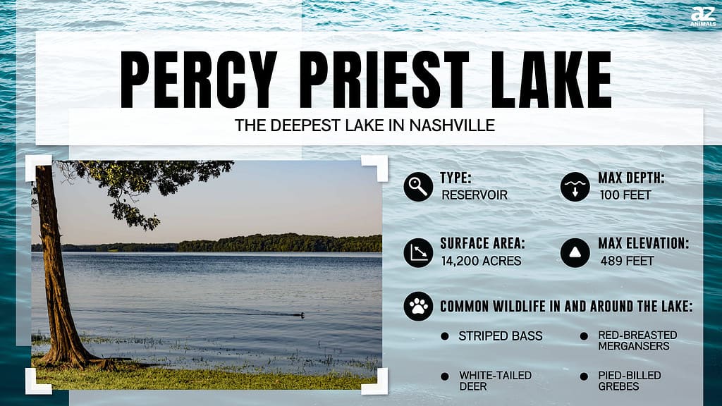 Percy Priest Lake is the Deepest Lake in Nashville