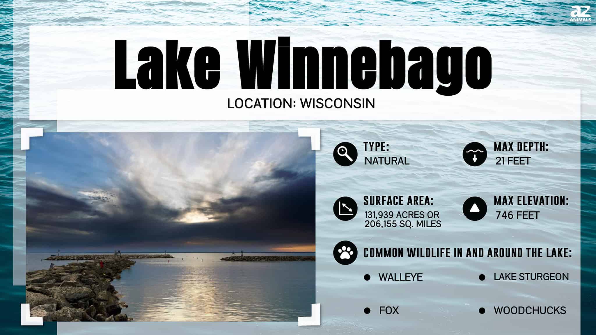 How Wide Is Wisconsin's Lake Winnebago at Its Widest Point? - A-Z Animals