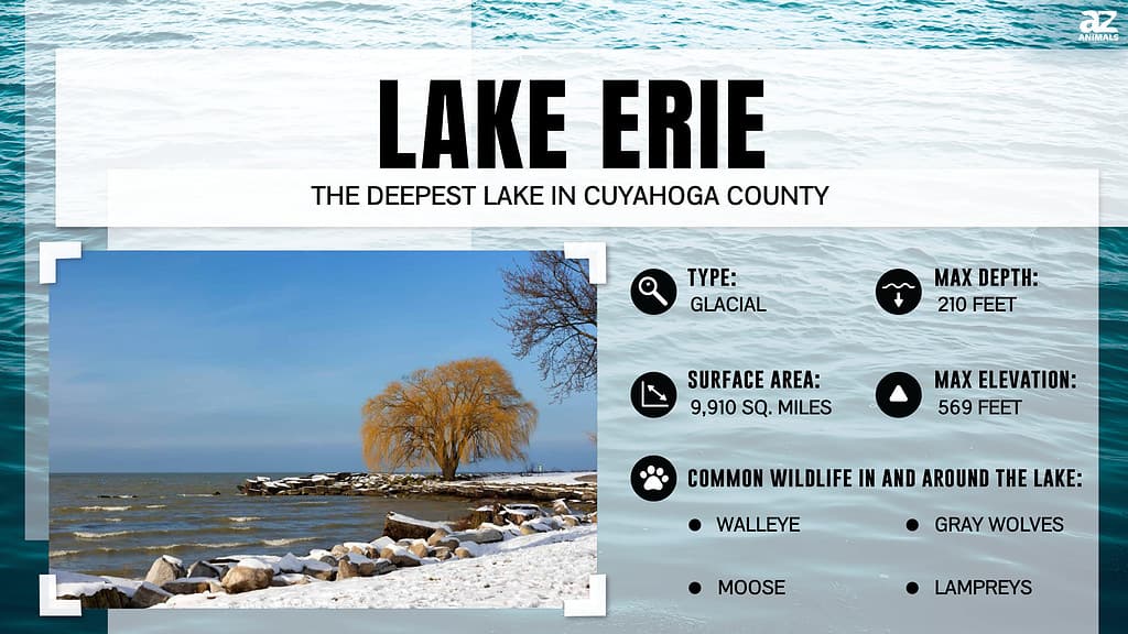 Infographic of Lake Erie