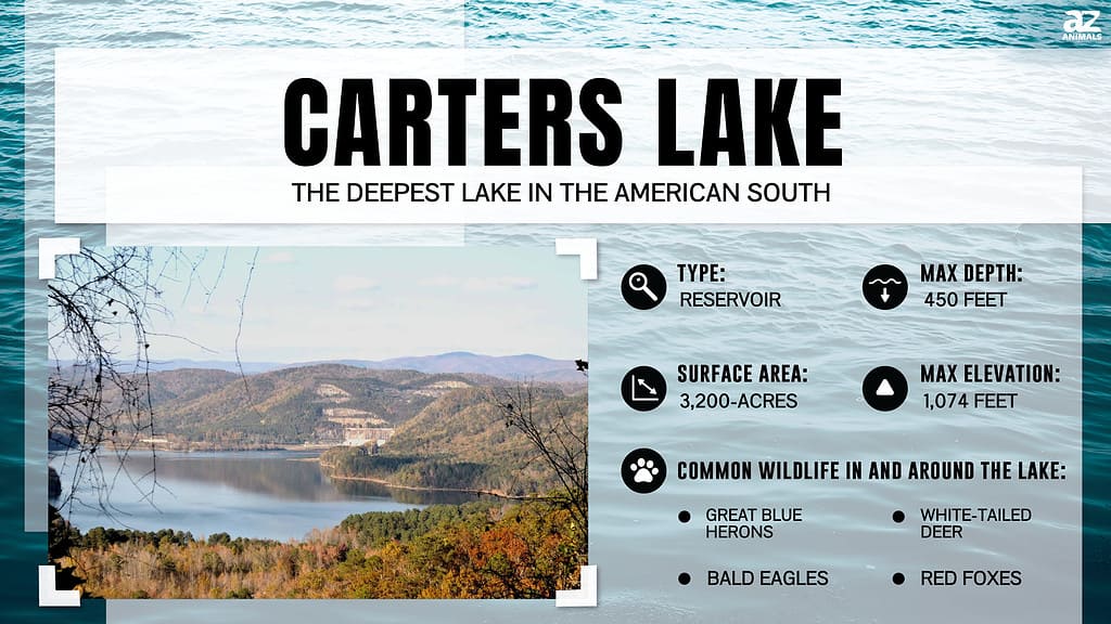 Carters Lake is the Deepest Lake in the American South