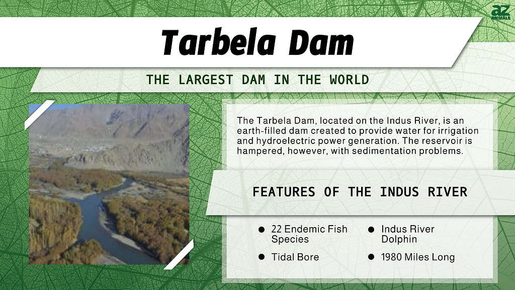 Infographic of the Tarbela Dam on the Indus River.