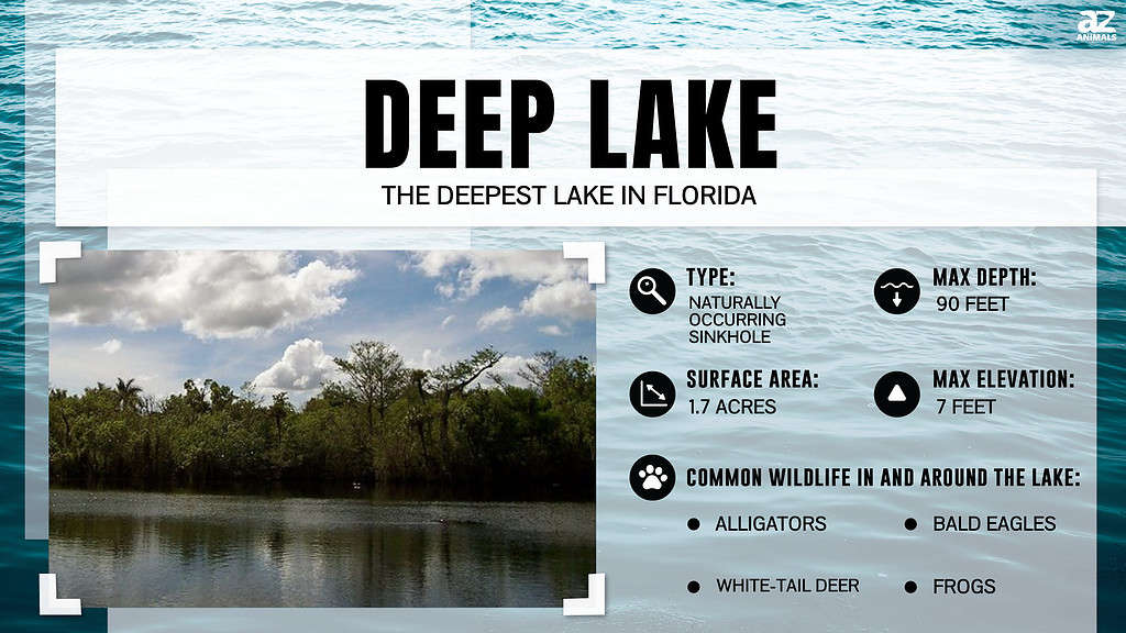 Infographic of Deep Lake