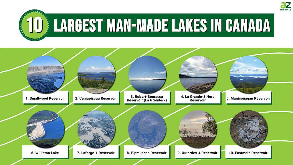 Discover The 10 Largest Man-Made Lakes In Canada - A-Z Animals