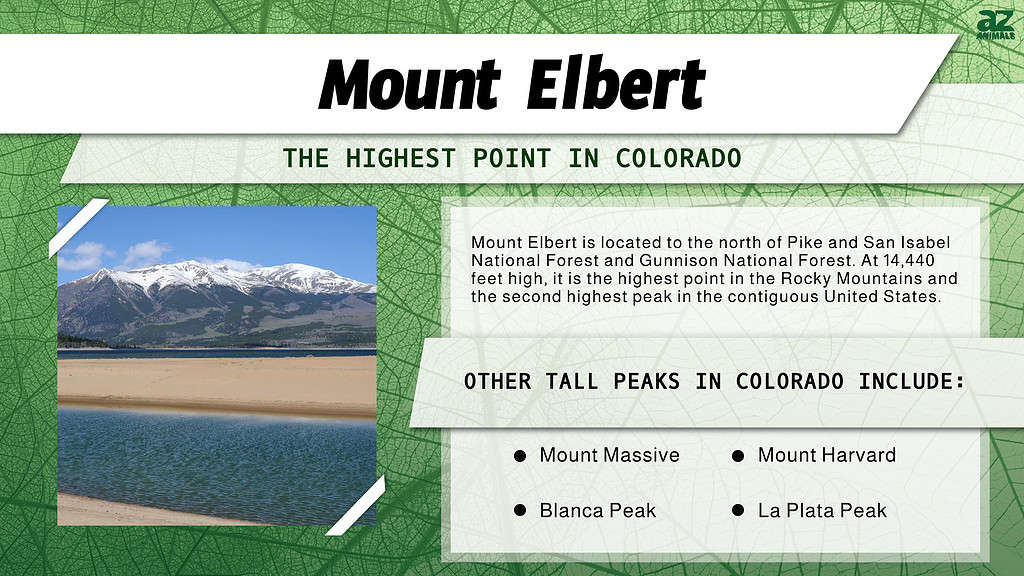Infographic of Mount Elbert
