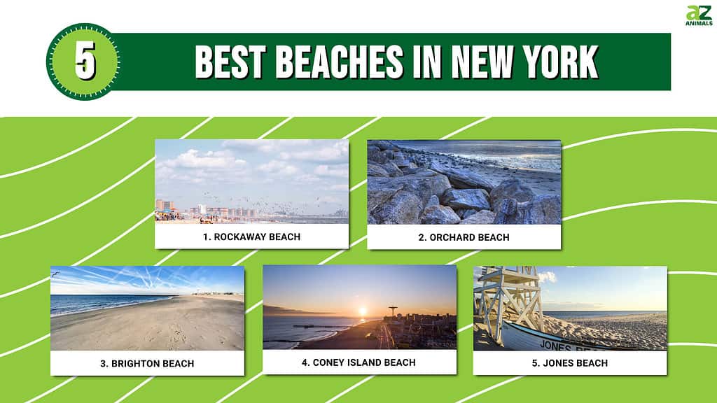 5 Best Beaches in New York