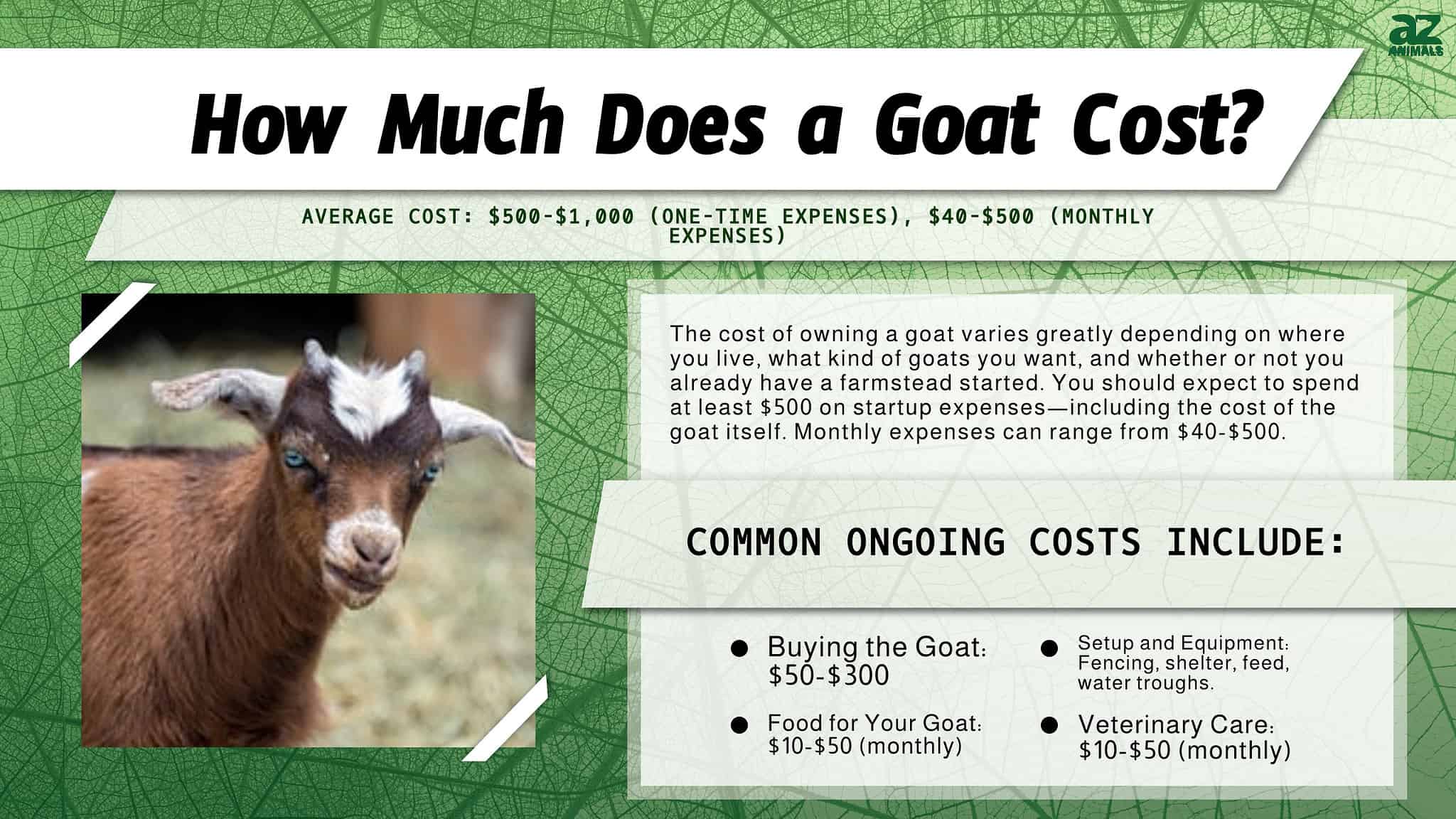 Goat Price How Much Do Goats Cost? Full Cost of Owning Revealed AZ