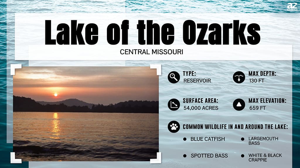 Infographic about the Lake of the Ozarks, Missouri.