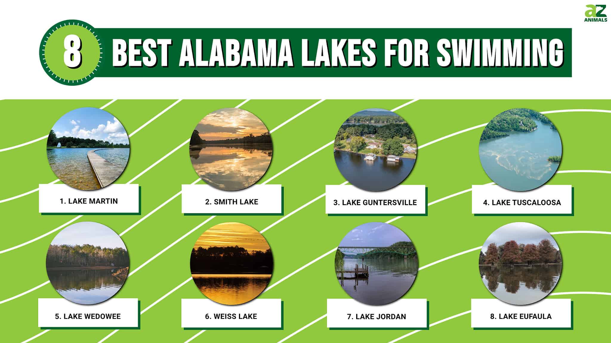 The 8 Best Alabama Lakes For Swimming AZ Animals