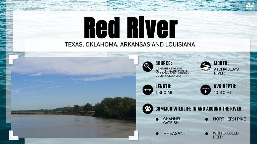 How Deep Is the Red River of the South? - A-Z Animals