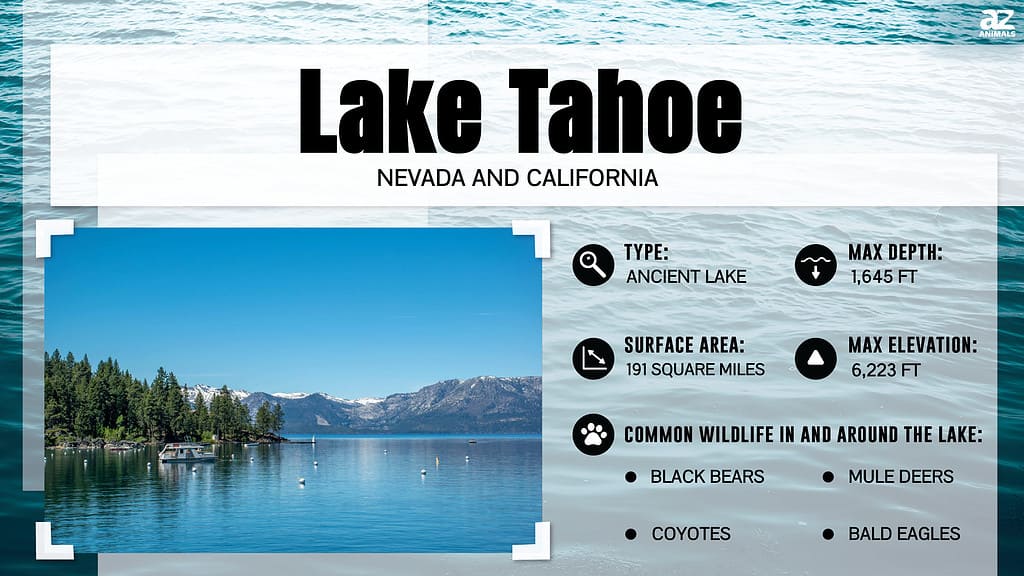 Infographic about Lake Tahoe.