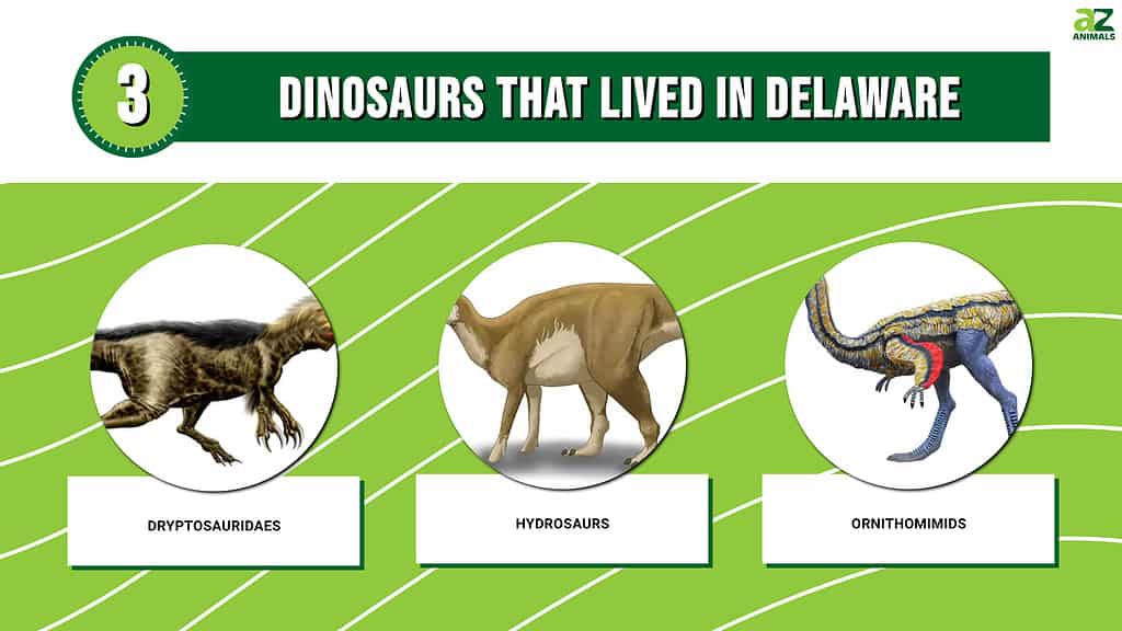 Picture graph of 3 Dinosaurs That Lived in Delaware