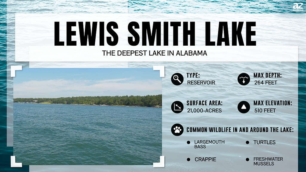 Lewis Smith Lake is the Deepest Lake in Alabama