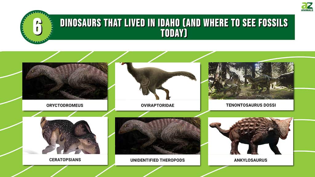 Dinosaurs Idaho