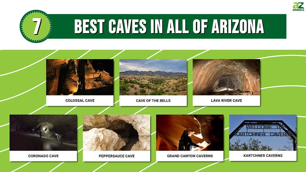 7 Best Caves in all of Arizona