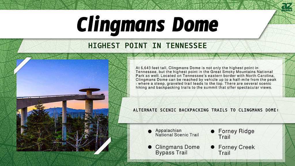 Clingmans Dome is the Highest Point in Tennessee