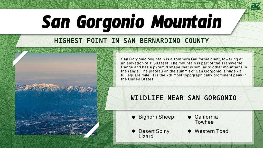 San Gorgonio Mountain -The Highest Point in San Bernardino County