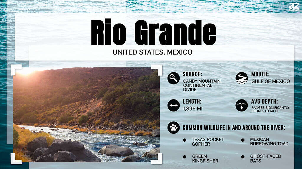 Infographic about the Rio Grande River