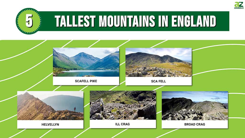 The 5 Tallest Mountains In England - A-Z Animals