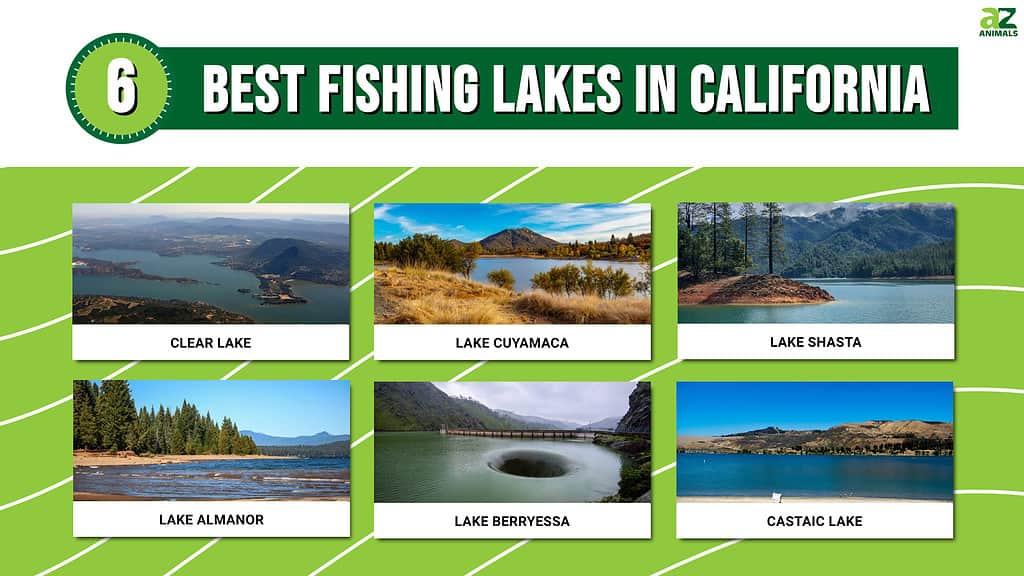 best fishing lakes in California