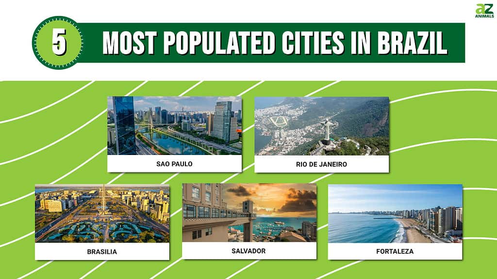 Picture graph of the 5 Most Populated Cities in Brazil