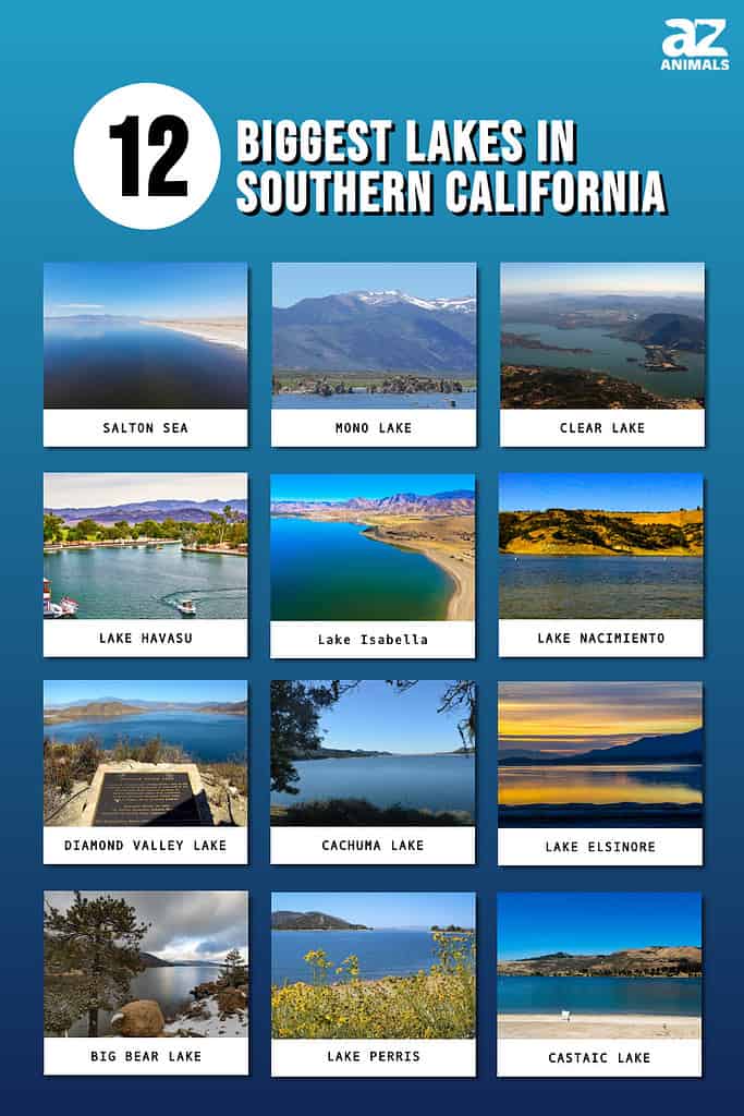 Picture graph of the 12 Biggest Lakes in Southern California.