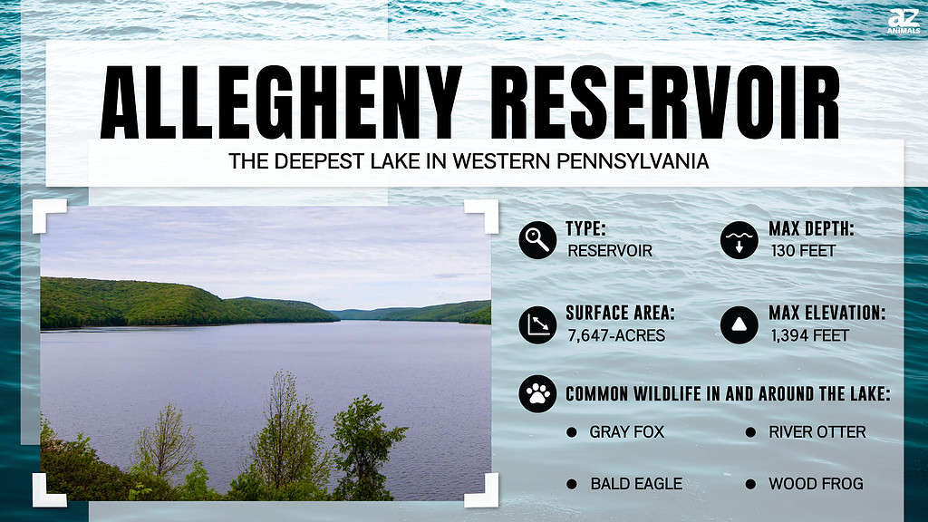Allegheny Reservoir is the Deepest Lake in Western Pennsylvania 