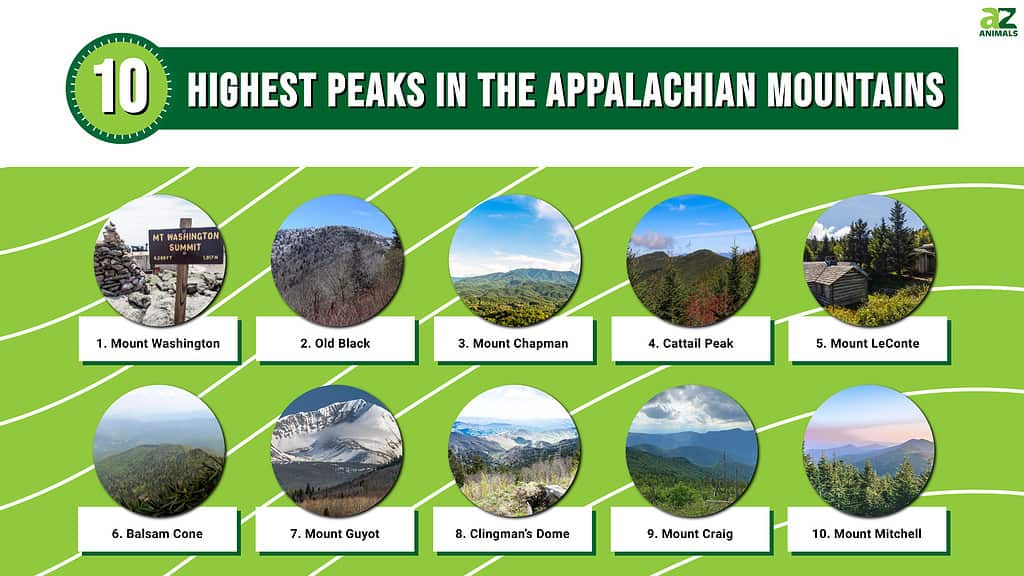 Discover The 10 Highest Peaks In The Appalachian Mountains A Z Animals