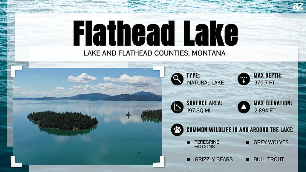 Infographic of Flathead Lake